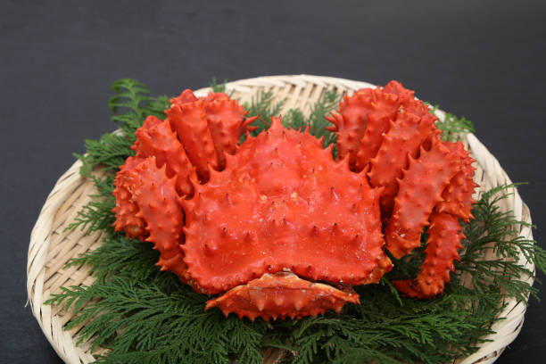 istock It is the crab called the Hanasaki crab. 1197846451