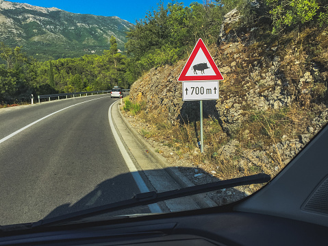 Traffic sign warning about wild boars on a beautiful mountain road background in Croatia.