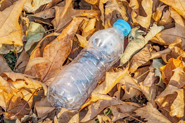 istock Plastic bottles in nature and environmental pollution 1197854510