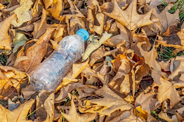 istock Plastic bottles in nature and environmental pollution 1197854550