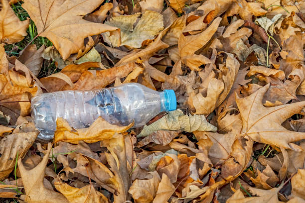 istock Plastic bottles in nature and environmental pollution 1197854584