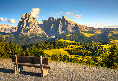 Alpe di Siusi or Seiser Alm and a wooden bench, Dolomites Alps Sassolungo and Sassopiatto mountains, Trentino Alto Adige Sud Tyrol, Italy, Europe