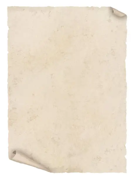 Vector illustration of Old paper white vertical