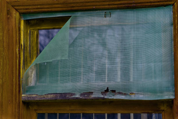 zerrissenes netz auf einem fenster - mosquito netting stock-fotos und bilder