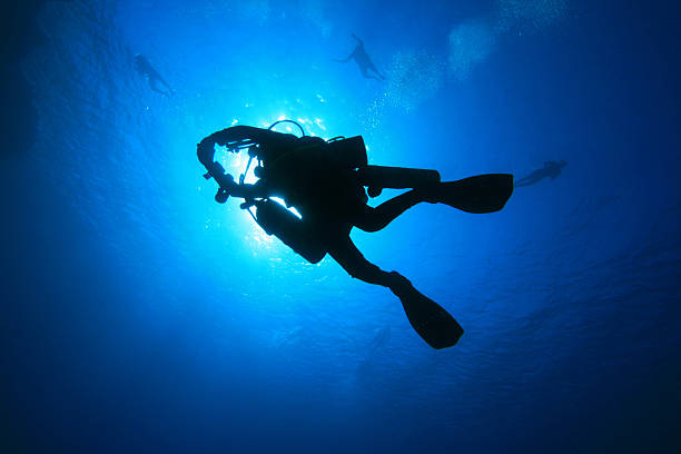 istock Scuba Diver and Swimmers 119786234