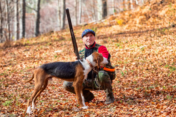 istock Hunter and hunting dog chasing in the forest 1197863136
