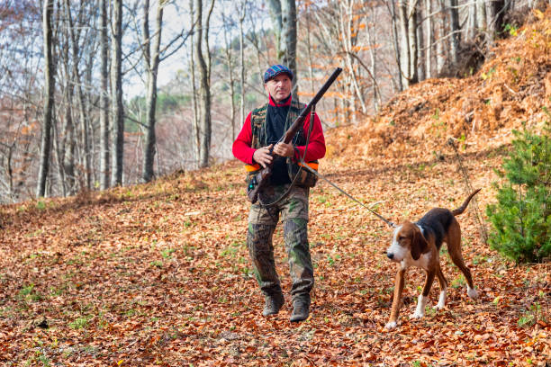 istock Hunter and hunting dog chasing in the forest 1197863287