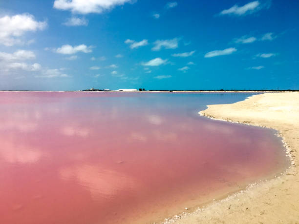 istock Pink lake in Merida Yucatan Mexico 1197863301