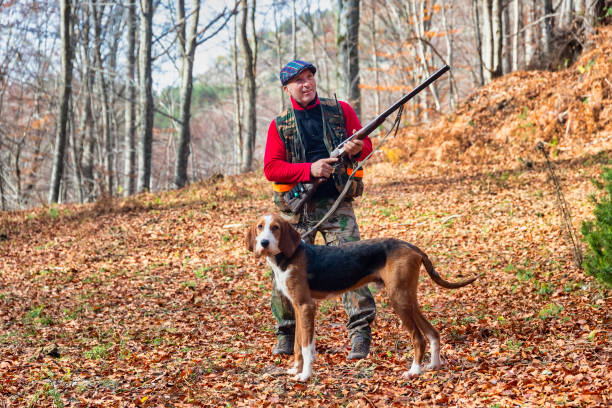 istock Hunter and hunting dog chasing in the forest 1197863349