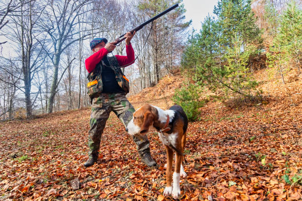 istock Hunter and hunting dog chasing in the forest 1197863428