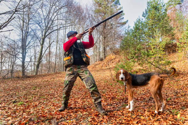 istock Hunter and hunting dog chasing in the forest 1197863564