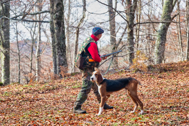 istock Hunter and hunting dog chasing in the forest 1197864831