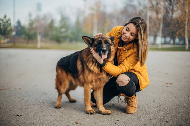 istock Pretty young woman and German shepherd 1197865265
