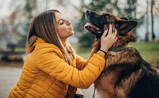 Beautiful young woman is playing with her dog in a park.