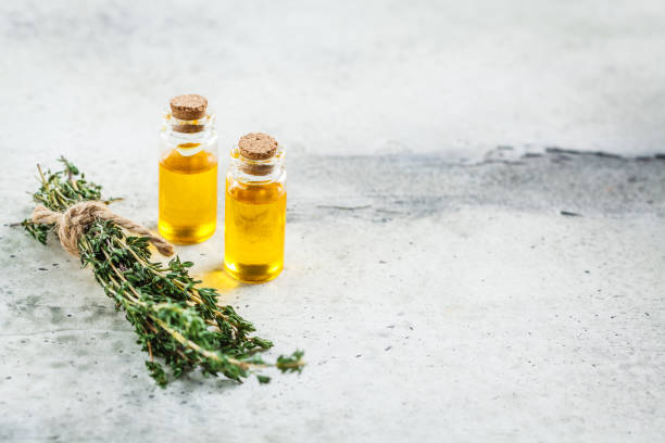 istock Thyme essential oil in glass bottles, gray background, copy space. 1197866440