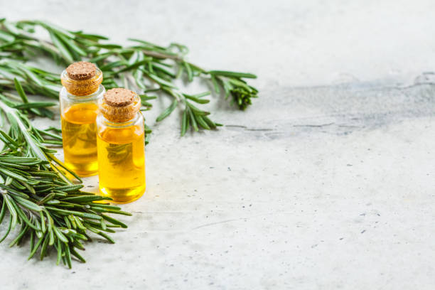 istock Rosemary essential oil in glass bottles, copy space. 1197866577