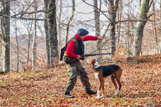 istock Hunter and hunting dog chasing in the forest 1197866686