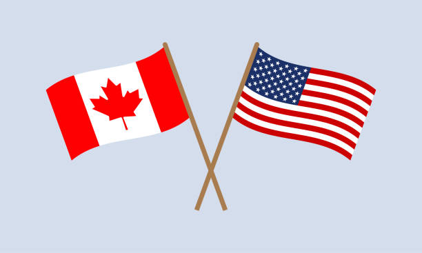 ilustrações de stock, clip art, desenhos animados e ícones de us and canada crossed flags on stick. american and canadian national symbols. vector illustration. - american flag usa flag curve