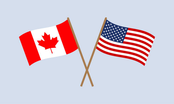 US and Canada crossed flags on stick. American and Canadian national symbols. Vector illustration. US and Canada crossed flags on stick. American and Canadian national symbols. Vector illustration. stick plant part stock illustrations