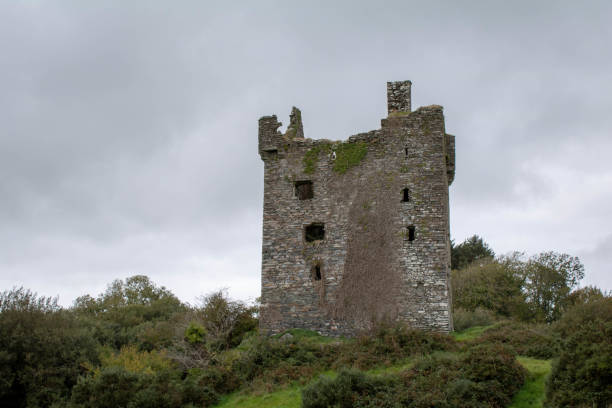 istock Castle tower Ballinivard in West Cork Ireland 1197868729