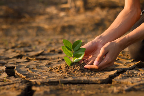 istock Children planting a tree climate change crisis 1197868967