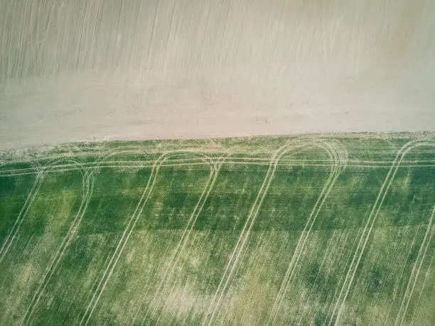 Aerial view of a land with sown green fields in countryside in spring day. Patterns on the green field