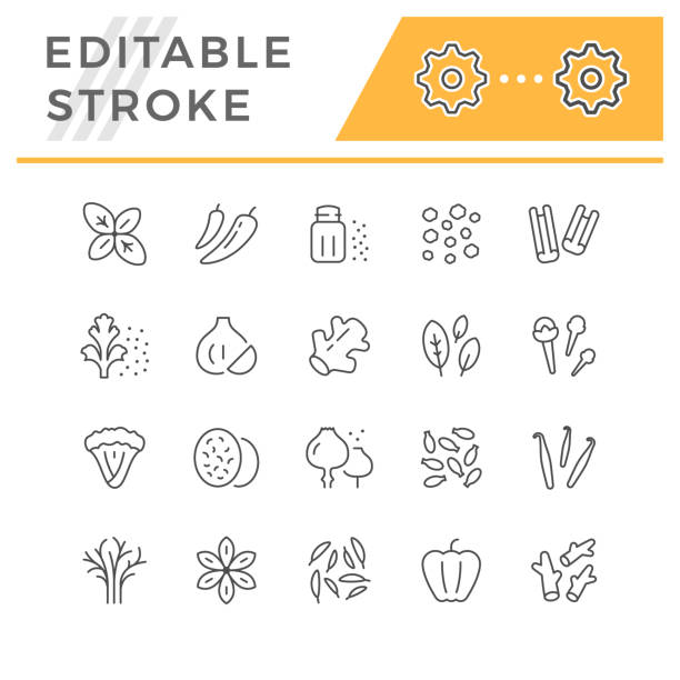 Set line icons of seasoning Set line icons of seasoning isolated on white. Editable stroke. Vector illustration cinnamon stick spice food stock illustrations