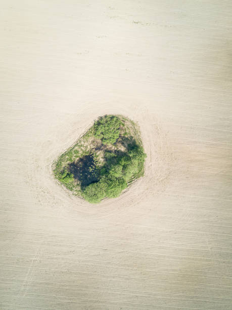 istock Island of green grass, among the plowed fields 1197876004