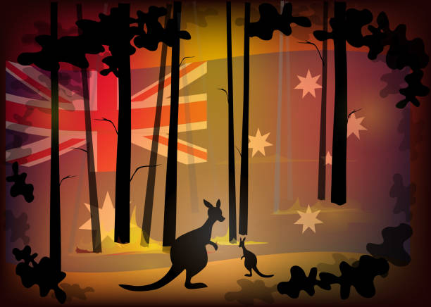 ilustrações, clipart, desenhos animados e ícones de incêndio florestal de austrália, canguru australiano com fundo nacional australiano da bandeira e do incêndio florestal, conceito de excepto austrália, pray para austrália, fundo do símbolo do sinal, ilustração do vetor. - wallaby kangaroo australian culture australia
