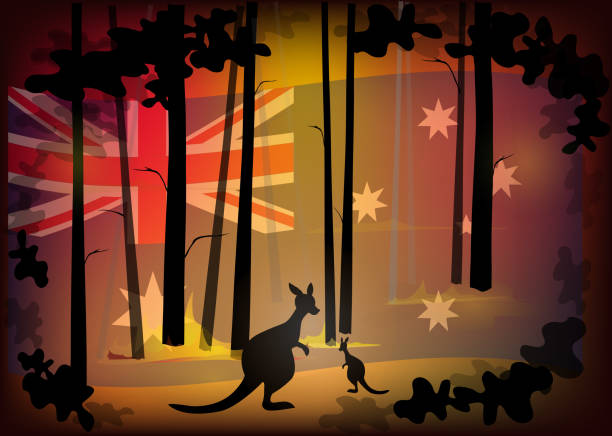 istock Australia forest fire, Australian Kangaroo with Australian national flag and forest fire background, Save australia concept, Pray for australia, sign symbol background, vector illustration. 1197882121