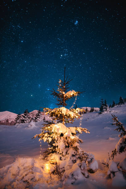 istock Christmas tree with garlands on a starry sky background in winter 1197883655