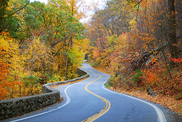 istock colorful winding Autumn road 119788567