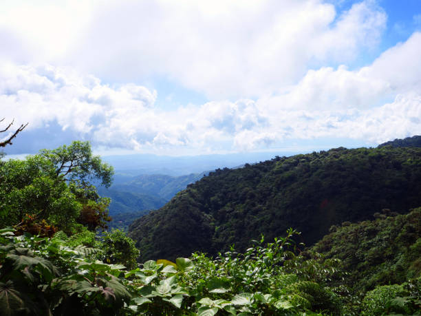 istock Costa Rica - Overlooking the Cloud Forest 1197886050