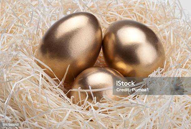 Three Golden Eggs In The Birds Nest Stock Photo - Download Image Now - Animal Egg, Animal Nest, Bank - Financial Building