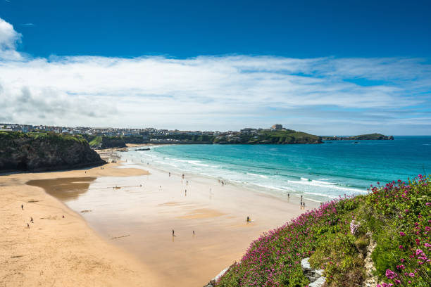 Yellow sands of Great Western beach in Newquay Yellow sands of Great Western beach in Newquay on the north Cornish Coast. England. UK. cornwall england photos stock pictures, royalty-free photos & images