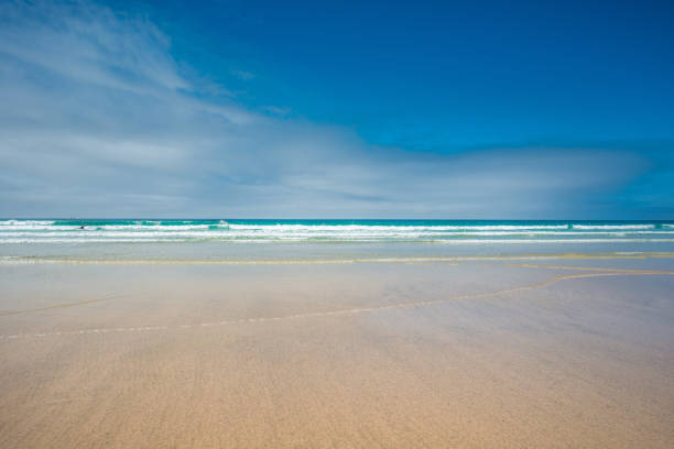 yellow sands of great western beach in newquay - horizon over water england uk summer imagens e fotografias de stock