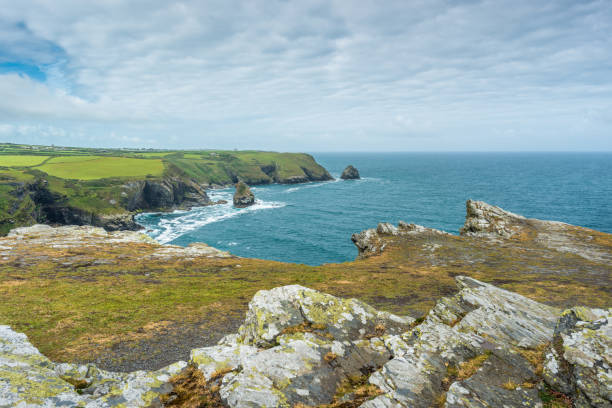 istock Coastal views from Willapark Lookout 1197890957