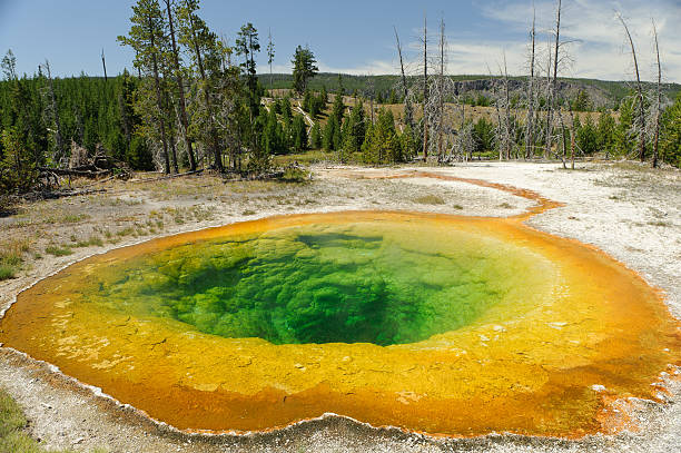 istock Yellowstone national park 119789104