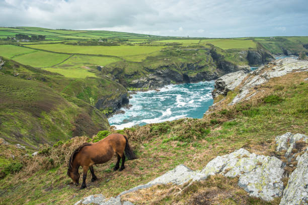 istock Coastal views from Willapark Lookout near Boscastle 1197891124