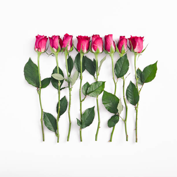 istock Flower arrangement service poster 1197891242
