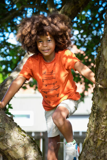 istock I Love Climbing Trees! 1197891372