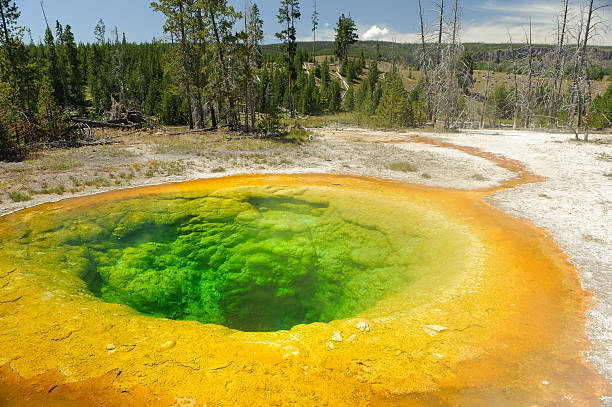istock Yellowstone national park 119789140