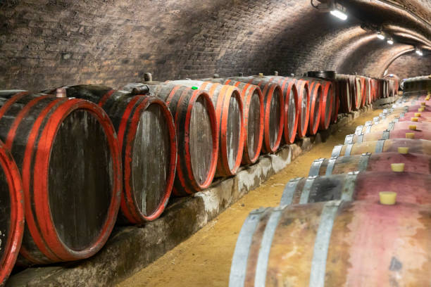 istock Old wine cellar in Pecs, Hungary 1197891499