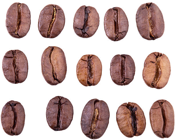 sammlung von kaffeebohnen - rynioproductions stock-fotos und bilder