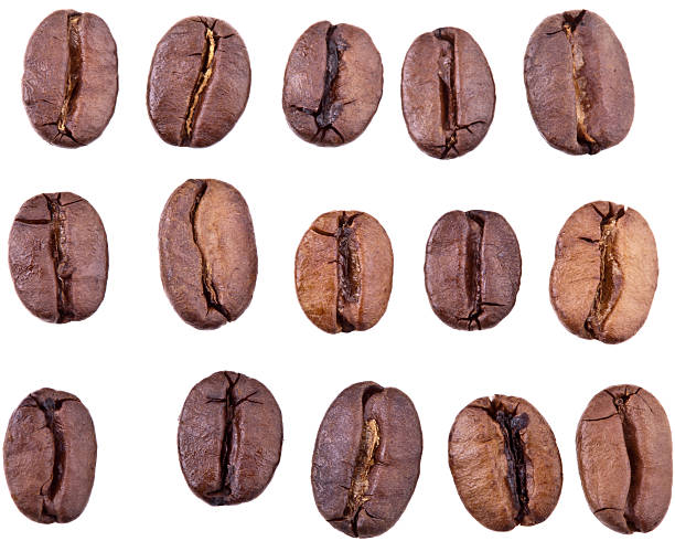 istock Collection of Coffee Beans 119789268