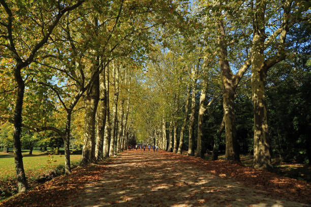 istock Park near Chateau de Chenonceau 1197896288