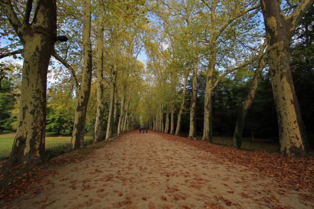 istock Park near Chateau de Chenonceau 1197896455