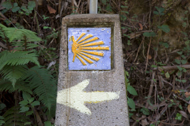 istock Camino de Santiago Walk Sign 1197896506