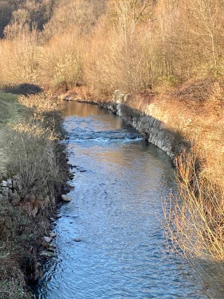 istock Olona River, northern Italy, during winter 1197897574