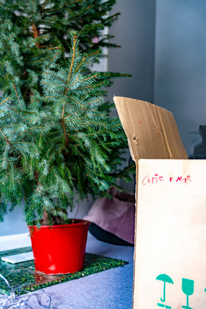 istock 2019 Clearing away after Christmas 1197901181